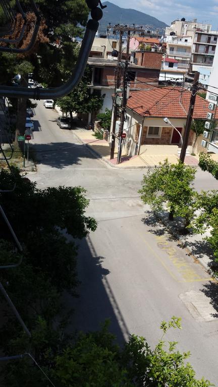 Dimitra Hotel 卢特拉艾季普苏 客房 照片